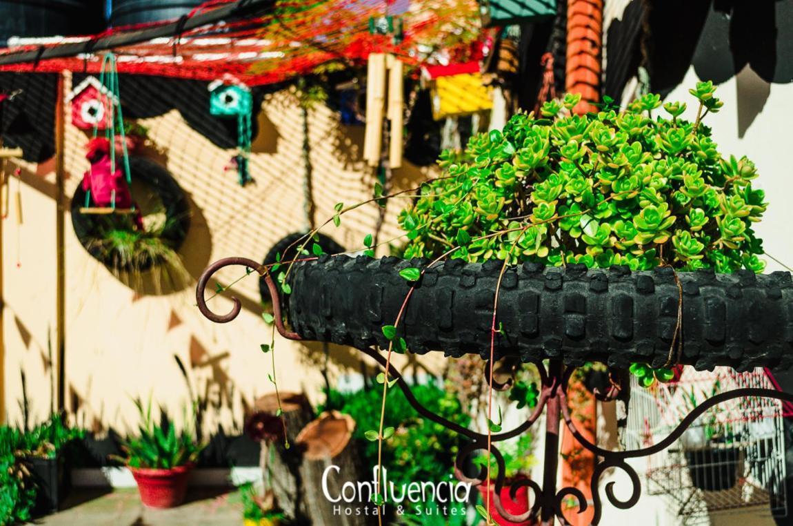 Hostal Confluencia Mendoza Bagian luar foto